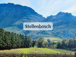 Stellenbosch RPA (800 x 600 px)
